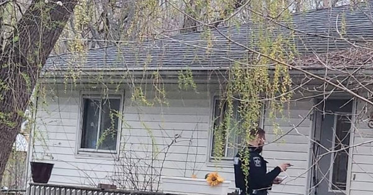 Dog remains on the loose Friday after attacks injure 3 near Johnsburg; 1 dog killed by police, 3 seized – Shaw Local