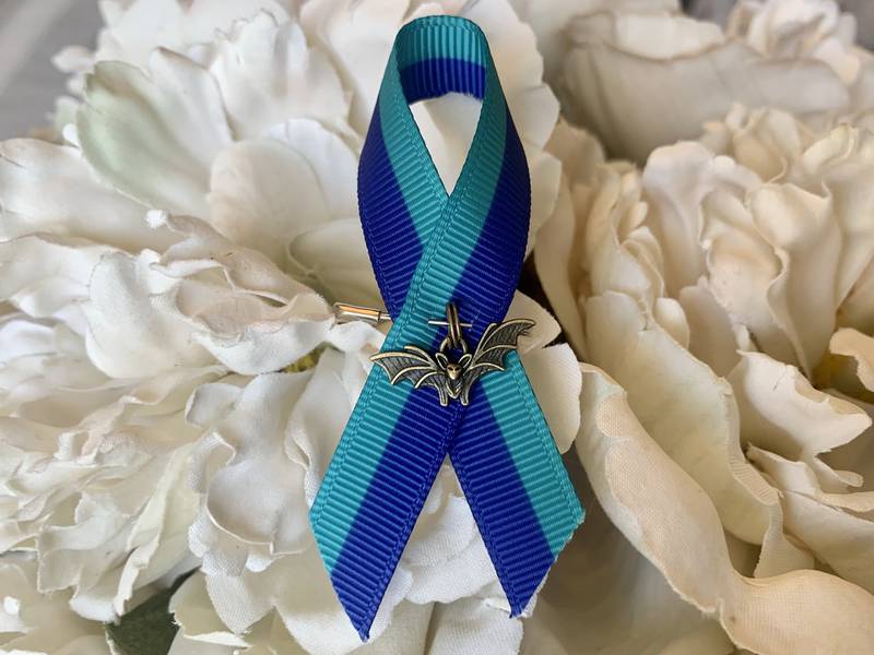 Yorkville High School students are petitioning to wear mental health and suicide awareness pins at graduation to honor a senior who took her own life in March.