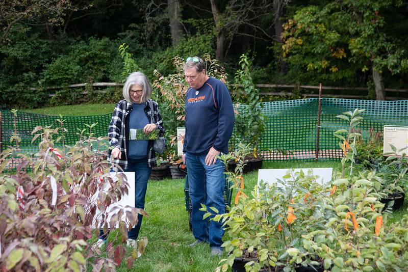 The Lake County Forest Preserves encourages homeowners to plant native trees and shrubs.