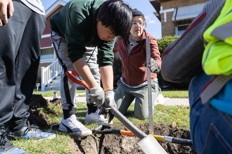Volunteers join The Berwyn Tree Canopy Initiative to add more trees to Berwyn through a Tree Planters grant received from Open Lands non-profit on Saturday, October 15, 2022.