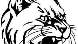 West Chicago co-op takes swimming sectional at St. Charles East; St. Charles North second