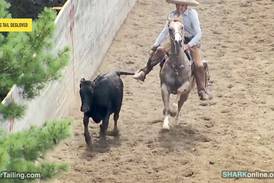 Animal cruelty charges in McHenry County could change how backyard rodeos operate across northern Illinois