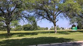 House size, price for proposed development on ex-factory site gives Batavia aldermen pause