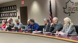 Sycamore lowers property tax levy, plans to add one new employee in 2024