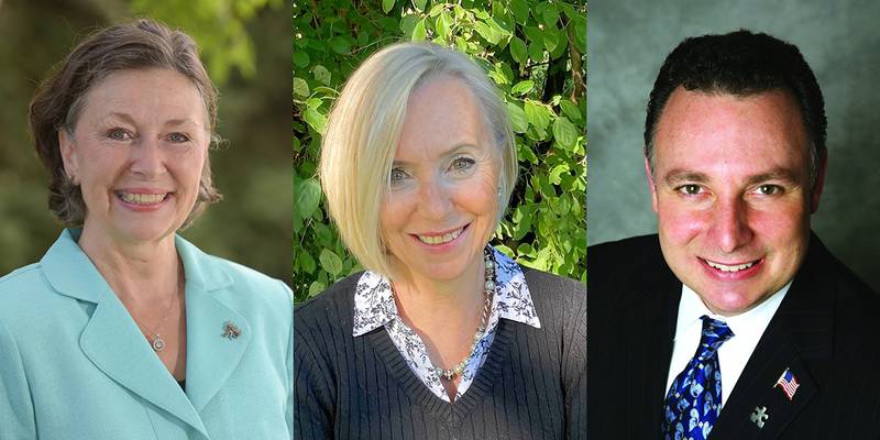 The Democratic candidates for DuPage County recorder of deeds are from left Kathleen Carrier, Liz Chaplin and Pete DiCianni.
