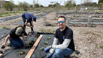 Sycamore company grows volunteers, and food, for Earth Day