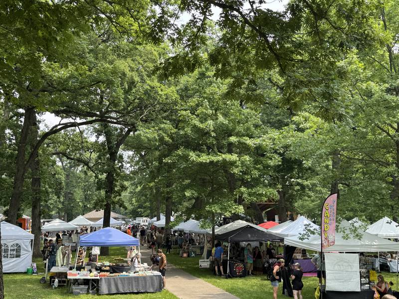 Vendors line Goold Park for fForest Fest 2025 on Saturday, June 7, 2025.