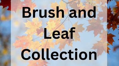 Oswego announces brush collection, leaf pickup dates