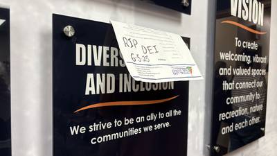 Crystal Lake park board votes 4-3 to end DEI amid boos from packed crowd