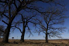 Land with McHenry County’s oldest trees – up to 400 years – acquired by Conservation District