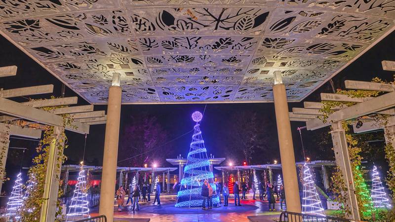 Morton Arboretum’s ‘Illumination: Tree Lights’ now open for 2025 holiday season