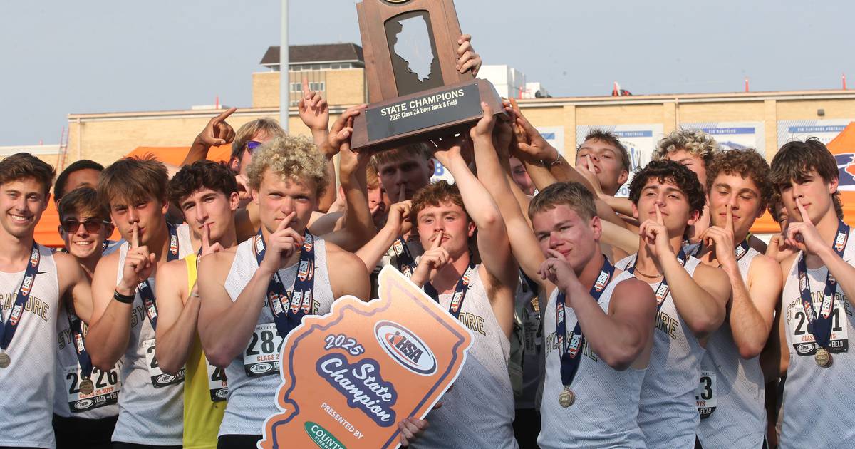 Aidan Wyzard, Dylan Hodges win track titles as Sycamore wins team crown