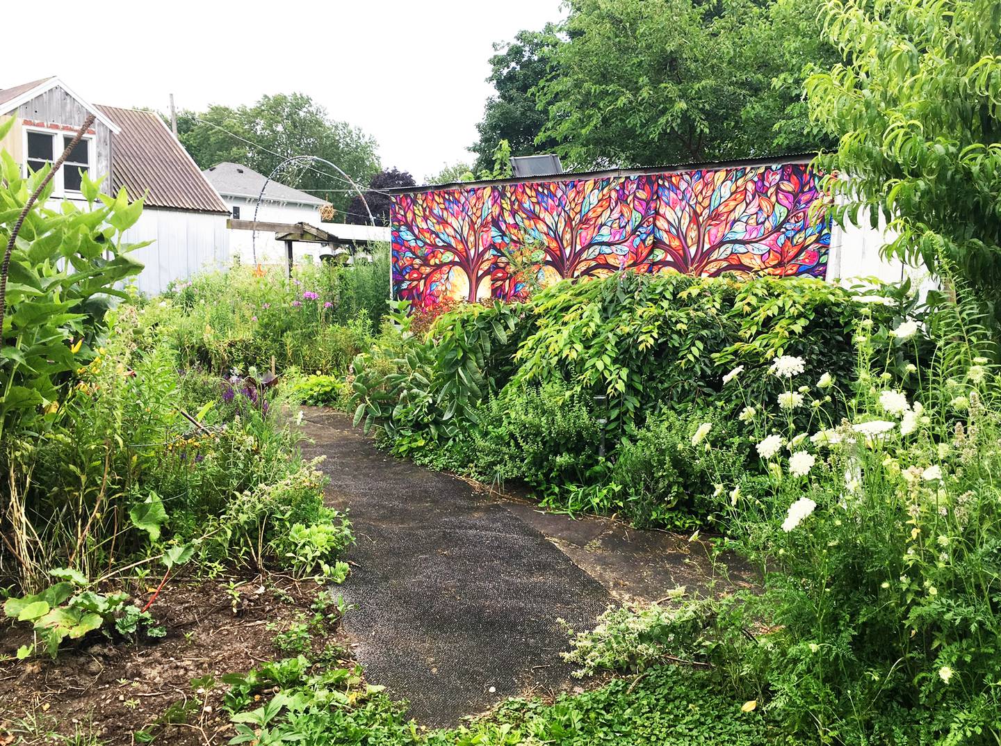 Roaming around the Avalon Unity Garden in Tampico can have peaceful and relaxing benefits, owner Carol Camper said. "People who have addiction issues or anxiety or high stress issues have come out and have said that the best part about it is that it's peaceful," Camper said. "It's quiet. The things that seem to grab their attention aren't here."