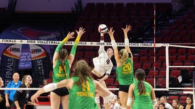 Photos: Prairie Ridge vs. Normal, Class 3A State semifinal volleyball