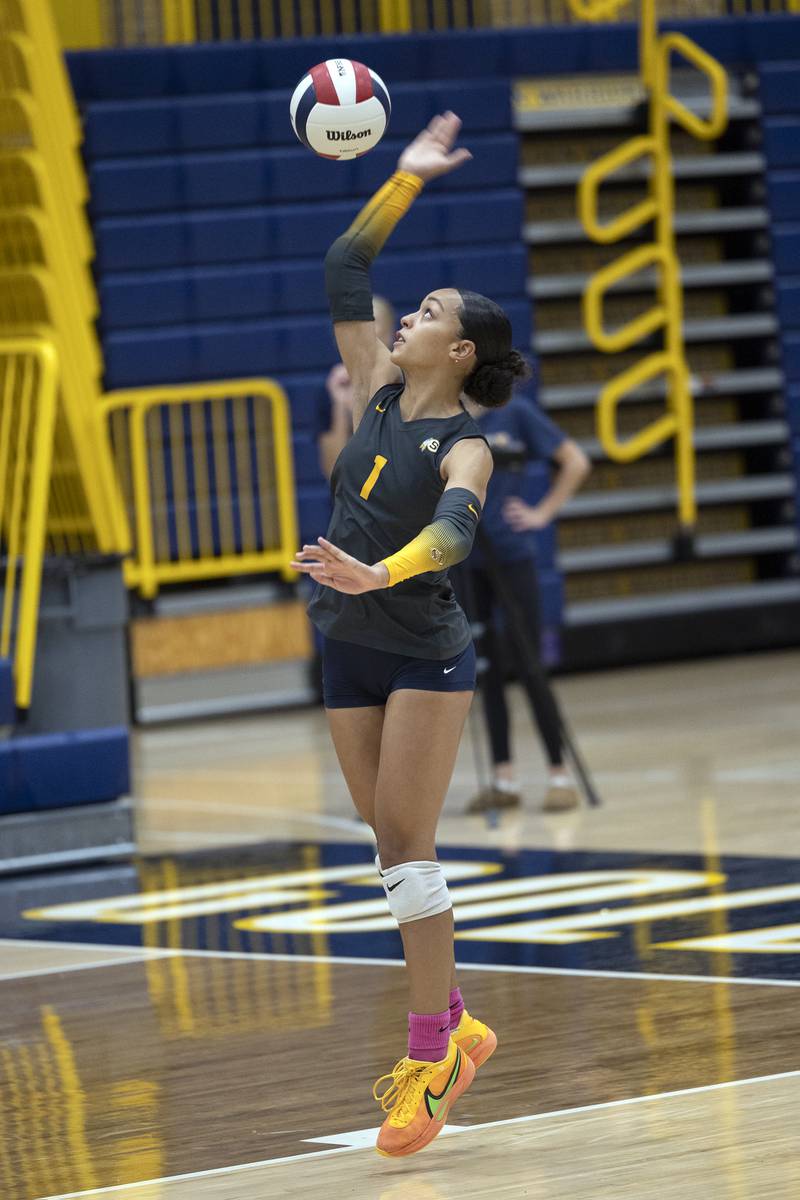 Sterling’s Nia Harris serves against Freeport Tuesday, Oct. 28, 2025, in the Class 3A regional semifinal at Sterling.