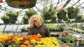 2026 Forreston FFA greenhouse sale dates announced