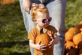 Shutter to Think: Pumpkin Dashing