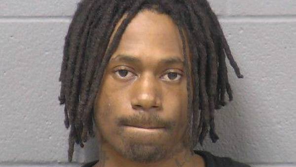 Man charged with fleeing police, armed violence in Will County denied jail release