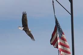 McHenry Democrats to host Flag Day celebration