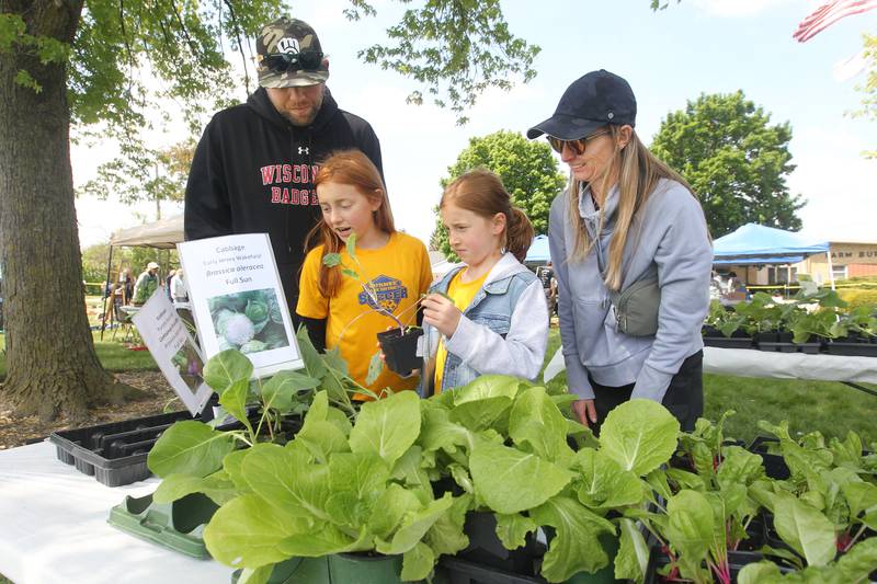 Mike and Dayna Wick, of Gurnee and their daughters, Lana, 10, and Nora, 8, read about how to take care of kohlrabi and cabbage plants Saturday, May 20, 2023, during the Lake County Extension Master Gardener Spring Plant Sale at the University of Illinois Extension in Grayslake.