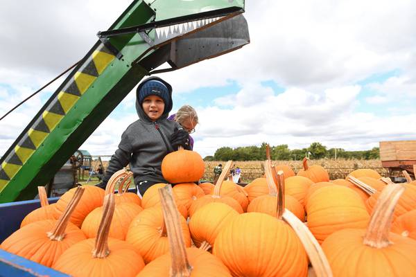 La Salle County Farm Bureau hosts ‘Around the Farm’ event Oct. 18