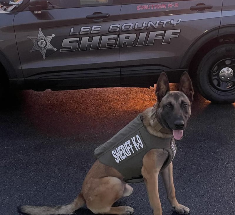 K-9 Dax of the Lee County Sheriff’s Office recently received a bullet-and-stab protective vest donation from Vested Interest in K9s Inc.