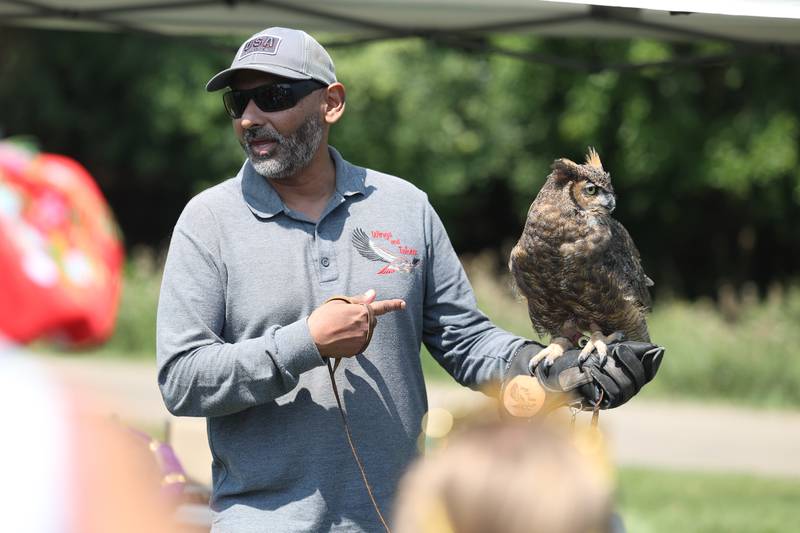 A handler from Wings and Talons does a presentation with a Great Horned Owl at the Royal Faire hosted by the Joliet Public Library Black Road Branch on Saturday, July 22nd, 2023.