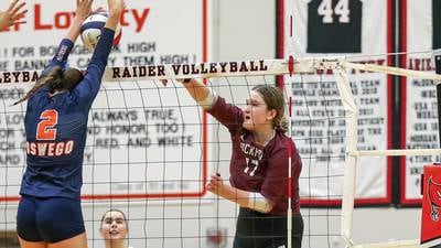 2025 Herald-News Girls Volleyball Preview Capsules