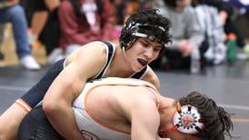 IHSA Boys Wrestling State Tournament: Daily Chronicle team-by-team previews