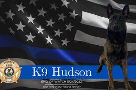 Funeral set for Kane County police dog Hudson