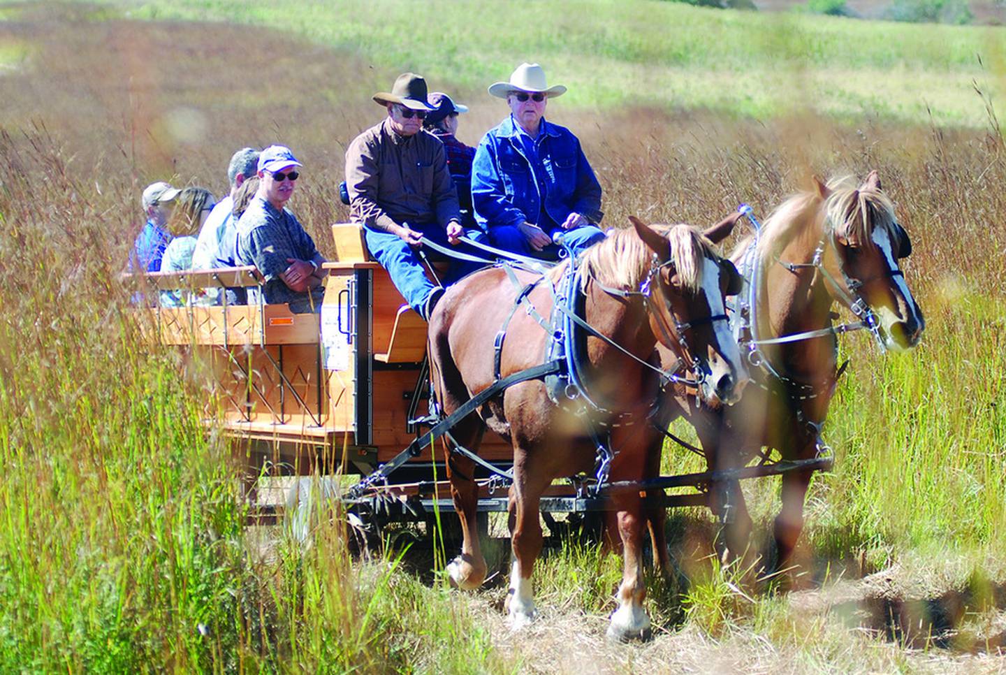 Horsedrawn wagon rides into the prairie were offered during Nachusa Grasslands' Autumn on the Prairie on Sept. 19. Photo by Earleen Hinton