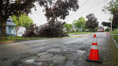 Downed trees, live wires, power outages after thunderstorms hit McHenry County area 