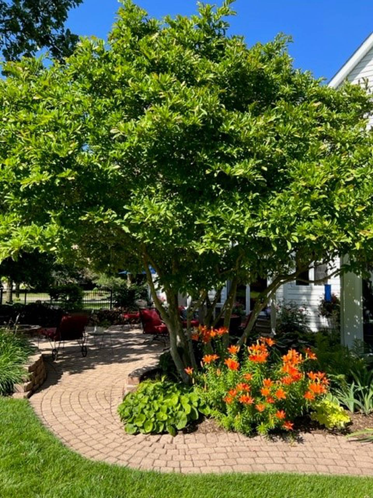 The Click Garden which will be featured in the Master Gardeners' Garden Walk