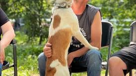 Thank You, Veterans: Dwight veteran finds healing in nature