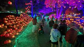 Set-up underway for this year’s Jack O’Lantern World