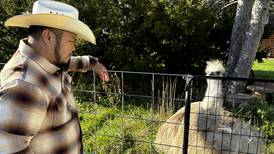 Photos: Emu farm in McHenry