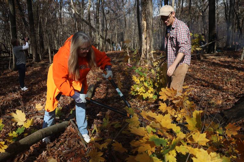 Northeastern Illinois Friends of Illinois Nature Preserve Field Representative Stone Hansard instructs Chris Yanchick on how to cut up a downed Maple tree at the nature preservation event to restore light to the woodland floor in Pilcher Park on Sunday, Nov. 10, 2024 in Joliet.