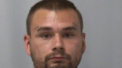 Dixon man charged with weapons offenses