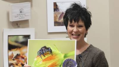 Photos: Starved Rock Photo Show draws 86 entries for 7th year