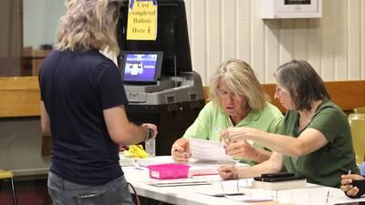 2022 Primary Election: DeKalb County referendum roundup
