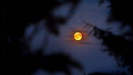 View full strawberry moon tonight at NIU’s Observatory in DeKalb