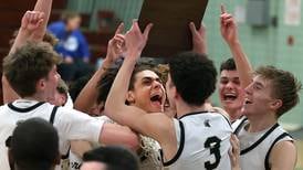 Photos: Sycamore beats Woodstock to claim Class 3A boys basketball regional championship