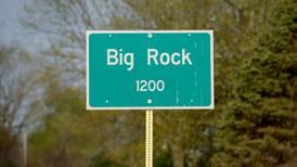 Police: Big Rock man dies in single vehicle crash near Hinckley