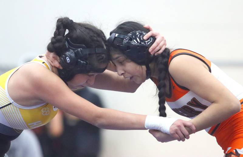 McHenry’s Mia Altorre, right, faces off against Harvard’s Denise Lopez at 100 pounds in IHSA Regional wrestling action on Saturday, Feb. 1, 2025, at  Hampshire High School  in Hampshire.