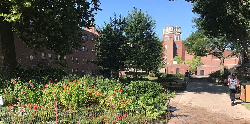 The University of St. Francis has been included in The Princeton Review Guide to Green Colleges: 2024 Edition.