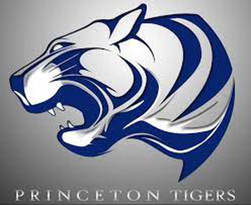 Princeton Tigers logo