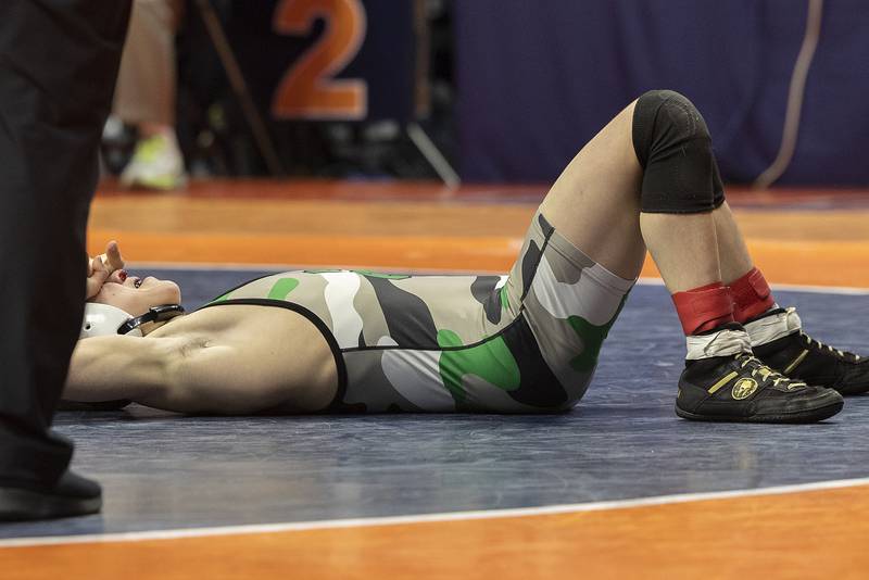 Grays Lake Central’s Vince DeMarco reacts to losing to Ray Long of Niles Notre Dame in the 106 pound weight class of the 2A state individual wrestling finals Saturday, Feb. 22, 2025, at State Farm Center in Champaign.