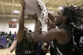 Daily Chronicle boys basketball preview: Team-by-team capsules