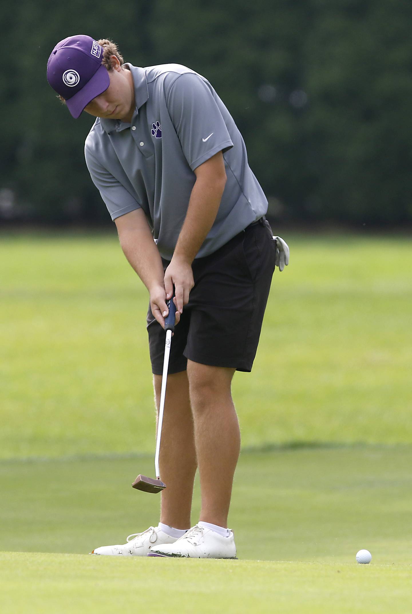 Hampshire’s Eric Brown putts on the seventh green during the Fox Valley Conference Boys Golf Tournament Thursday, Sept. 21, 2023, at McHenry Country Club in McHenry.