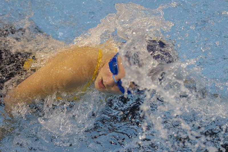 Sterling’s Franki Vance competes in the 100 freestyle race against Rock Island Tuesday, Sept. 30, 2025.